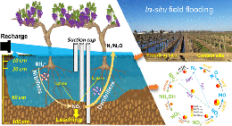 Soil_microbiology
